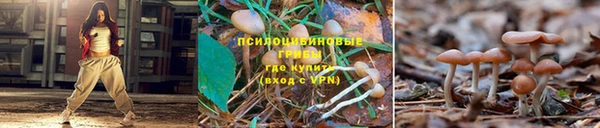 MDMA Заводоуковск