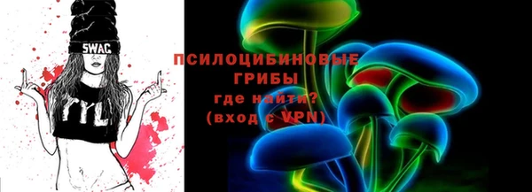 прущие грибы Заволжск
