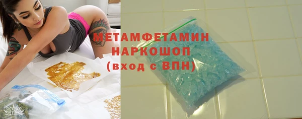 прущие грибы Заволжск