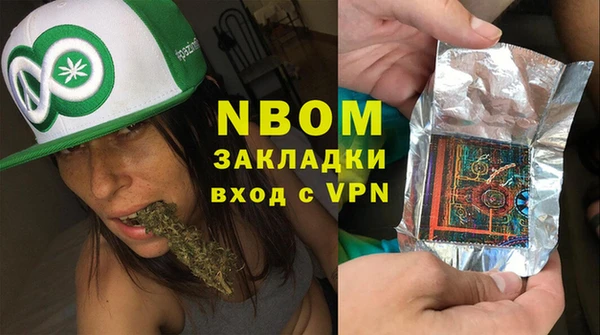 прущие грибы Заволжск