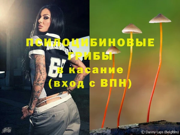 MDMA Заводоуковск