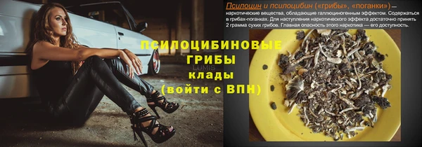 скорость Заволжье